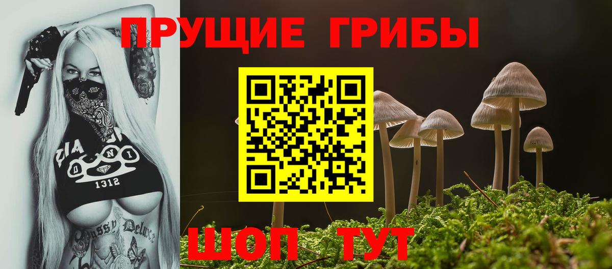 Псилоцибиновые грибы Psilocybe  Галлюциногенные грибы мухоморы  Междуреченск  Вход с VPN 
