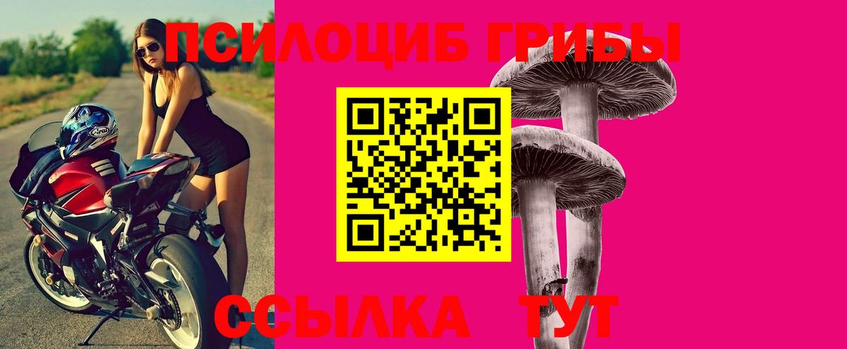 Галлюциногенные грибы Psilocybine cubensis Междуреченск